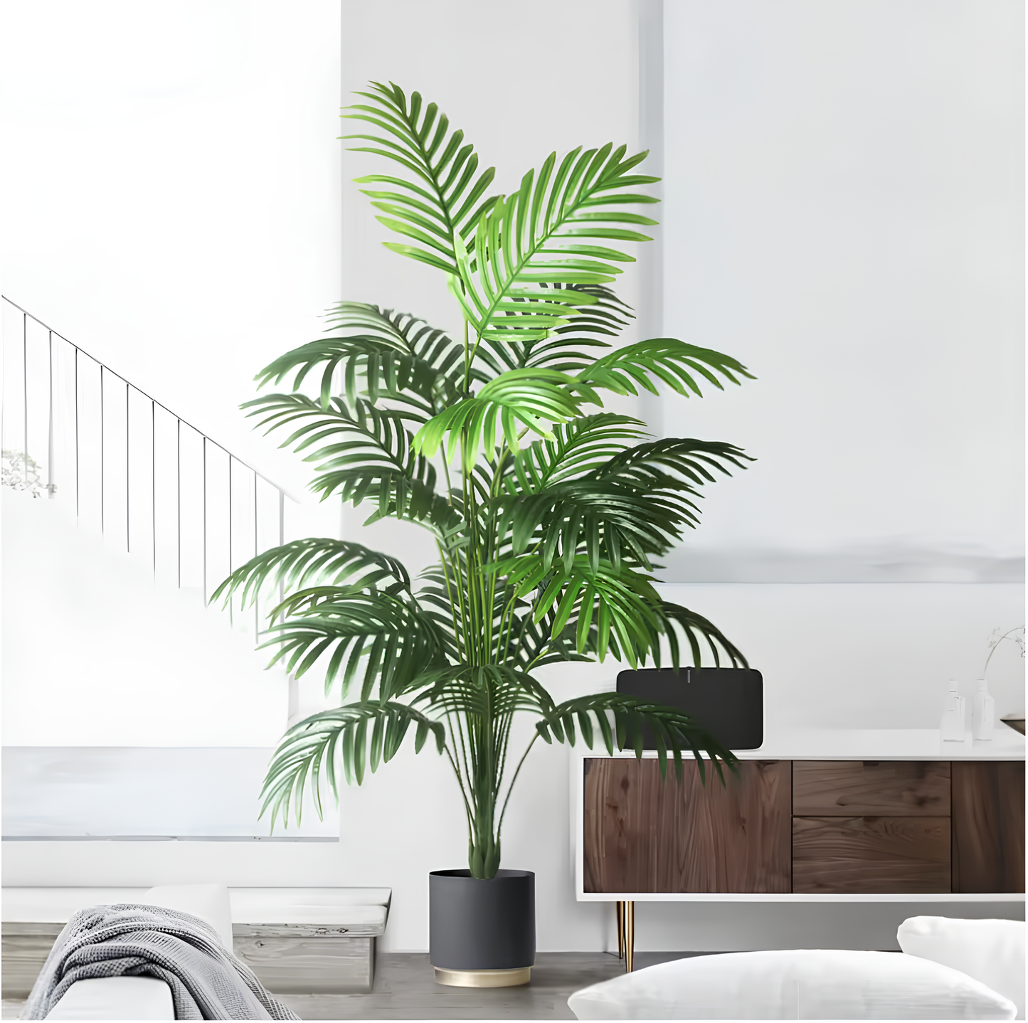 Monstera Tropicale