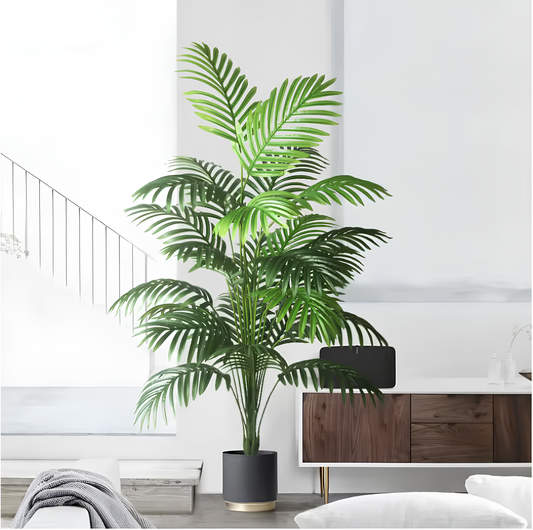 Monstera Tropicale